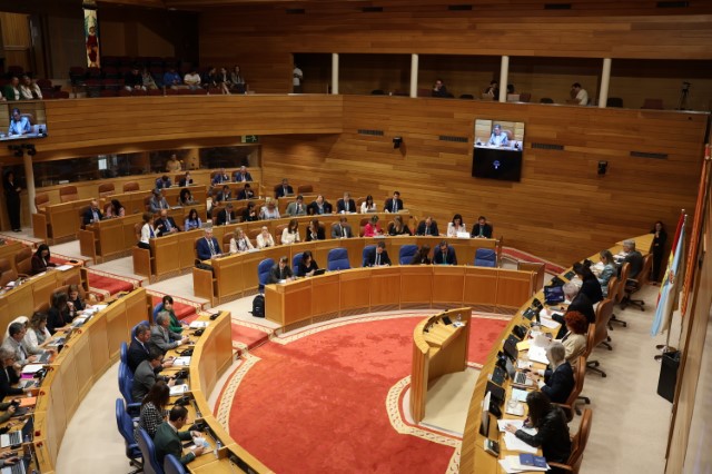 Resolucións aprobadas no Debate anual sobre política xeral do 23 de abril de 2025